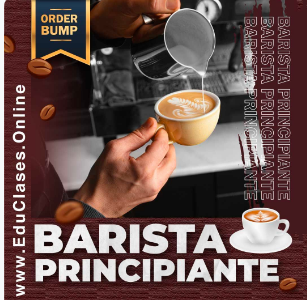 Curso de barista para principiantes
